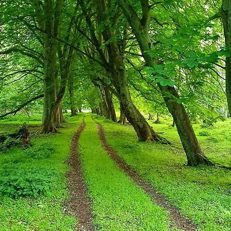 Διαμέρισμα Daliah *