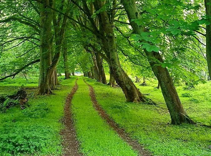 Appartement Daliah *